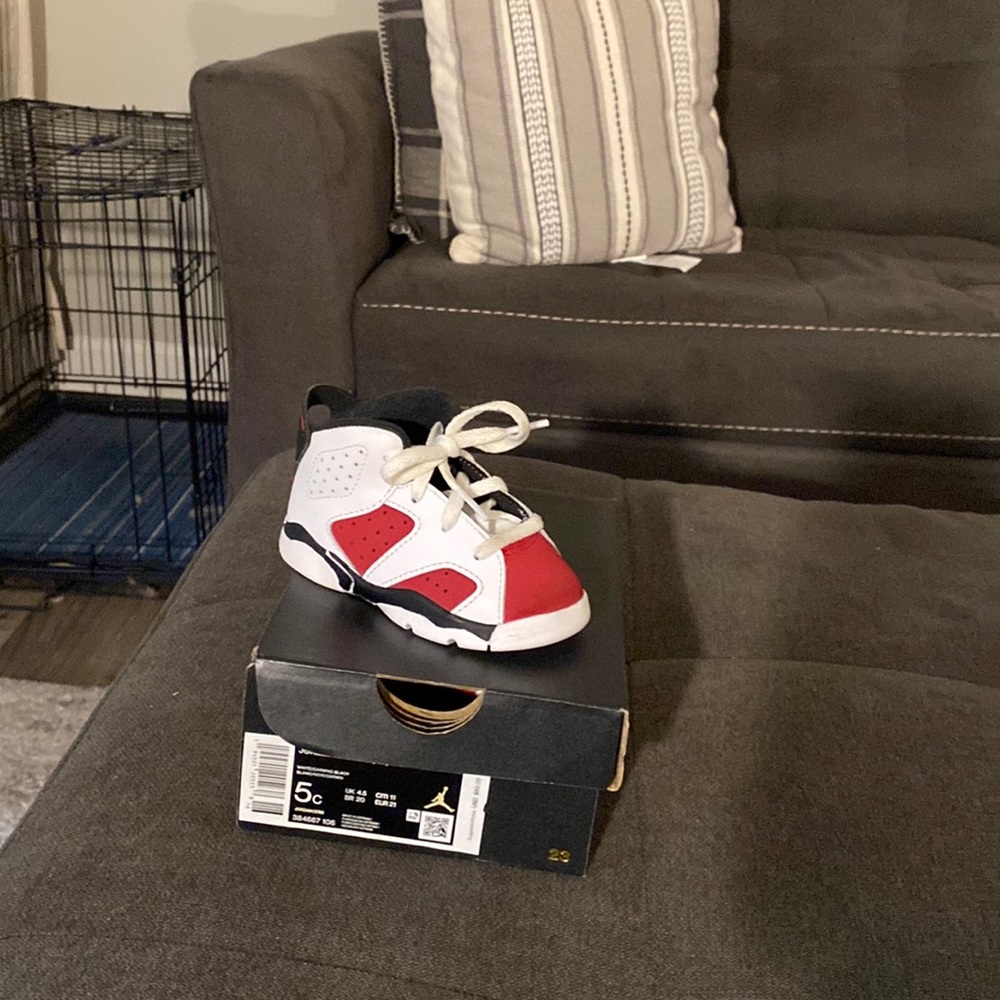 Jordan Retro 6 5c